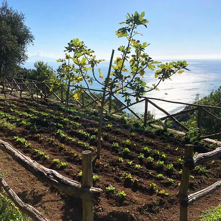 Casa Flora-3