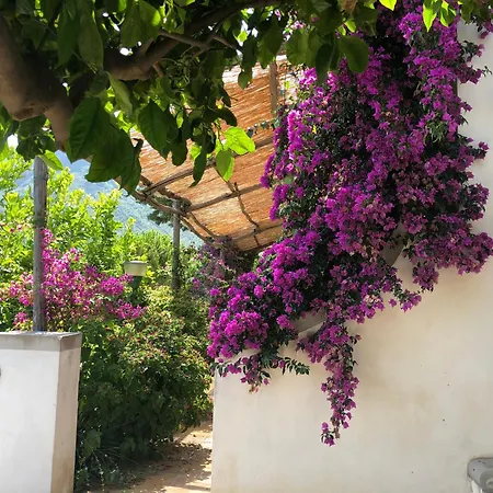 Casa Flora-2